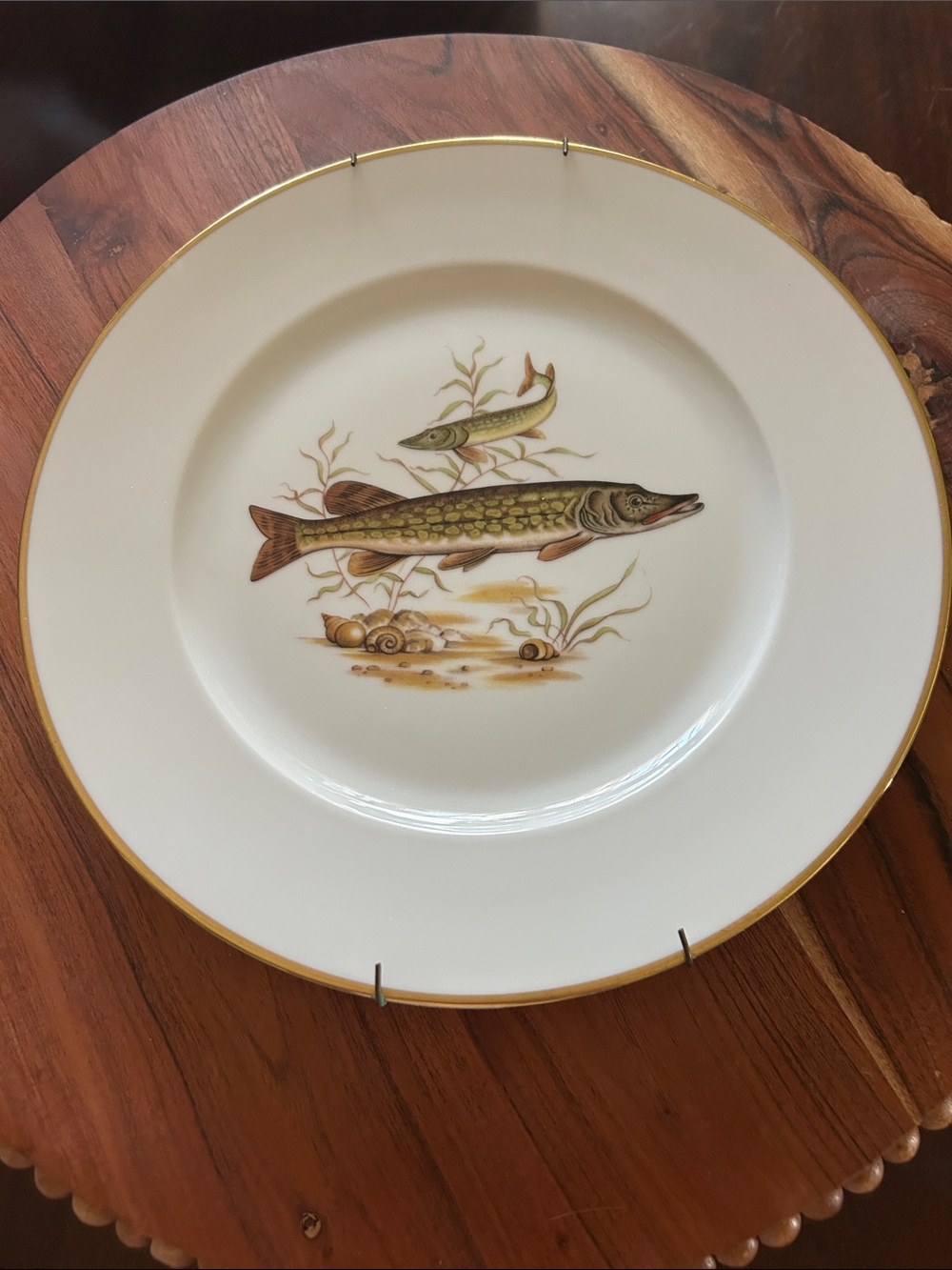 Vintage 1930s Rosenthal Germany Porcelain Fish Plate-Northern Pike 10” Gold Trim